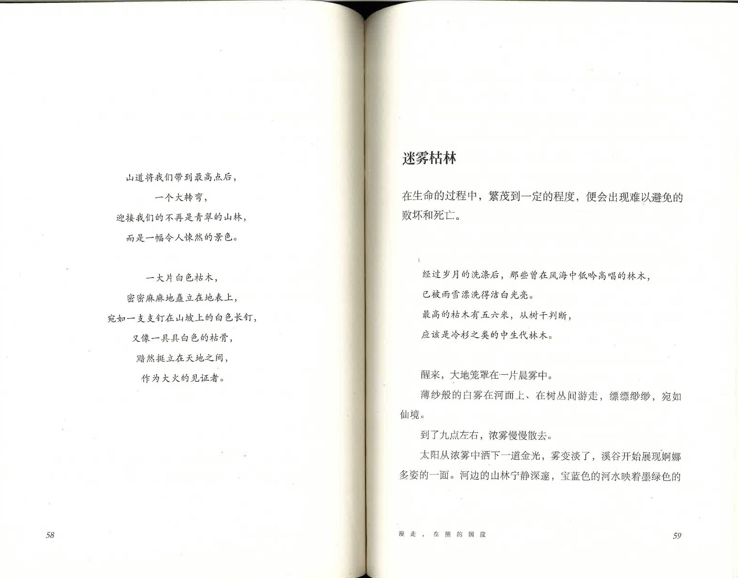 漫走，在熊的国度里