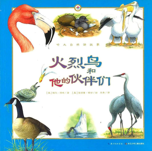 火烈鸟和他的伙伴们