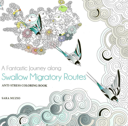 A Fantastic Journey Along : Swallow Migratory Routes