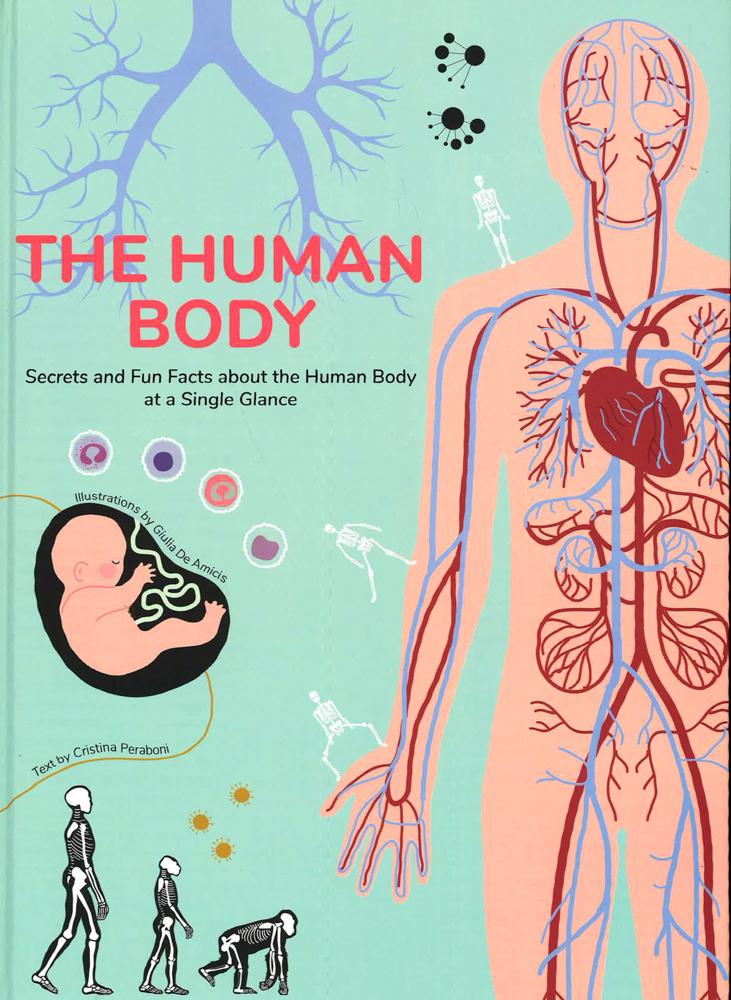 Secret Human Body Human Body: Secrets And Fun Facts About The Human Body At A Single Gla ...