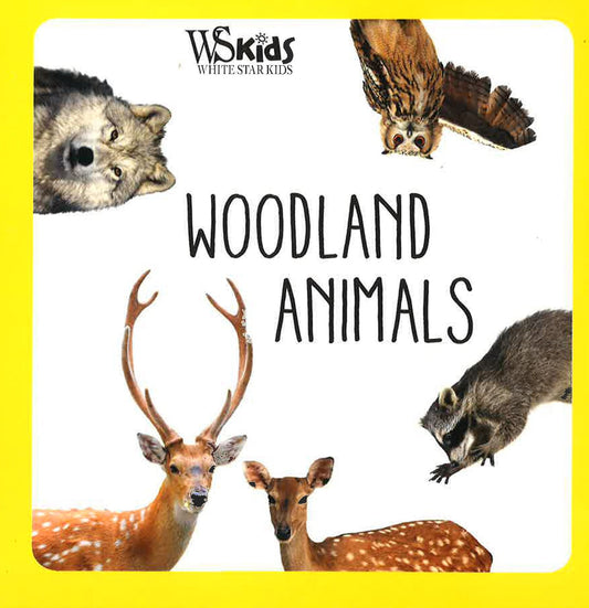 Woodland Animals