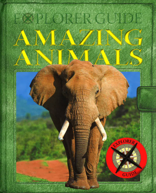 Explorer Guide: Amazing Animals