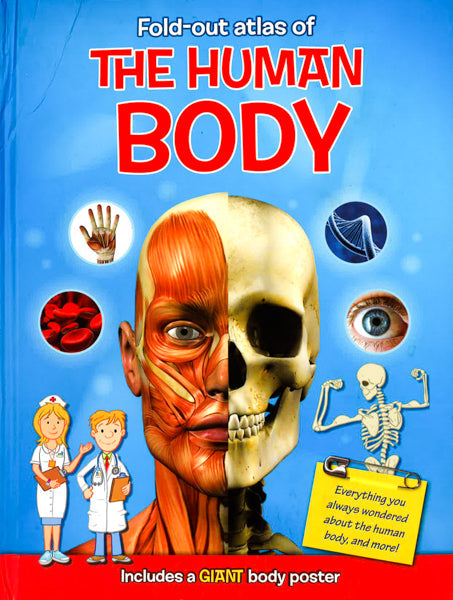 Fold-Out Atlas Of The Human Body