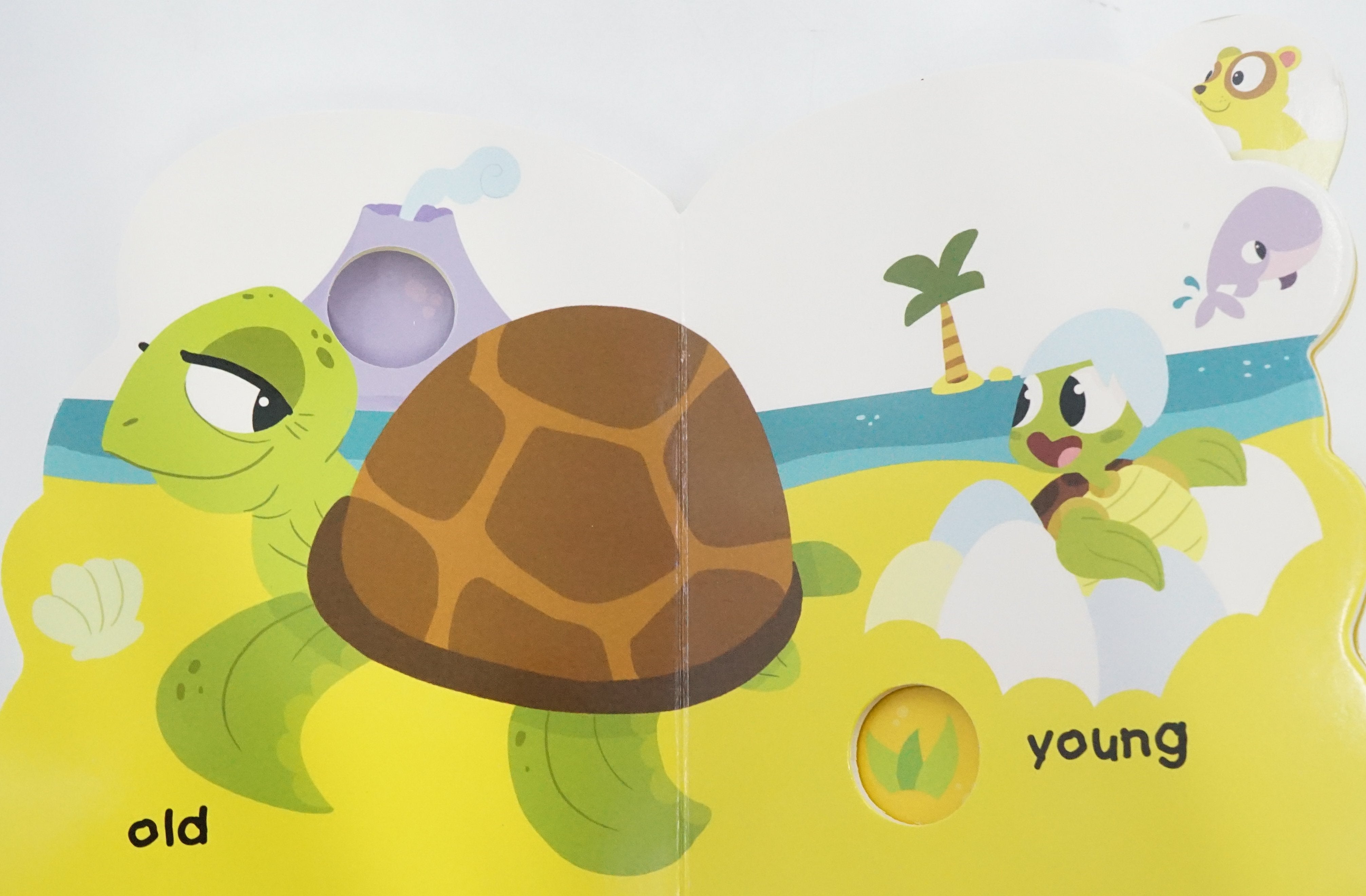 Translation missing: en.sections.featured_product.gallery_thumbnail_alt
