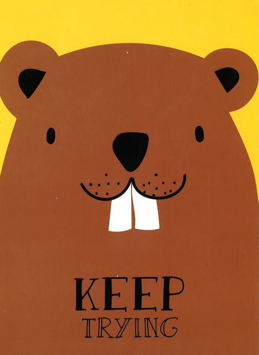 Values And Virtues: Keep Trying