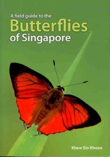 Butterflies Of Singapore