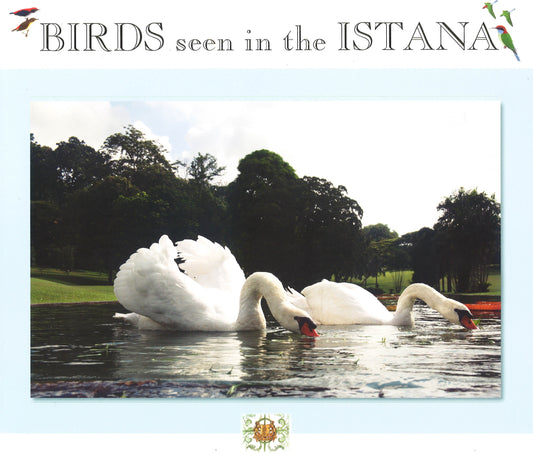 Birds Seen At The Istana (Updated Edition)