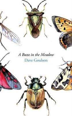 A Buzz in the Meadow (HB)