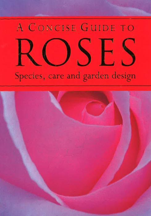 A Concise Guide To Roses