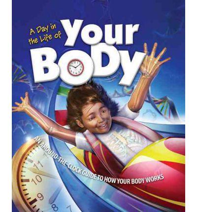 A Day In Your Life Of Your Body