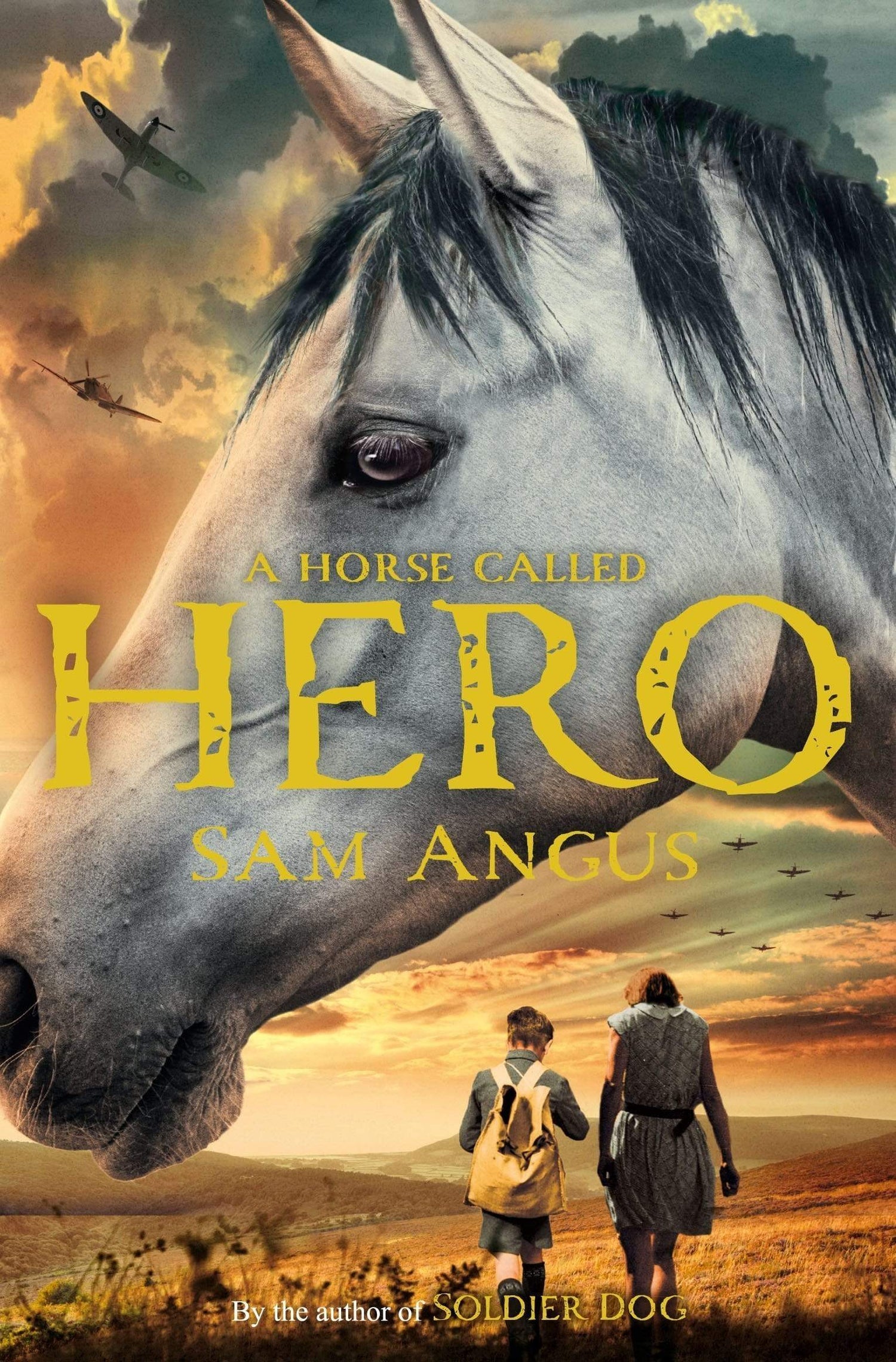 A HORSE CALLED HERO