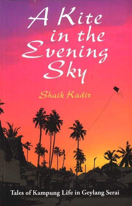 A Kite in the Evening Sky