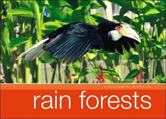 A Photographic Celebration Rain Forest