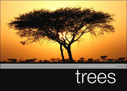 A Photographic Celebration Trees
