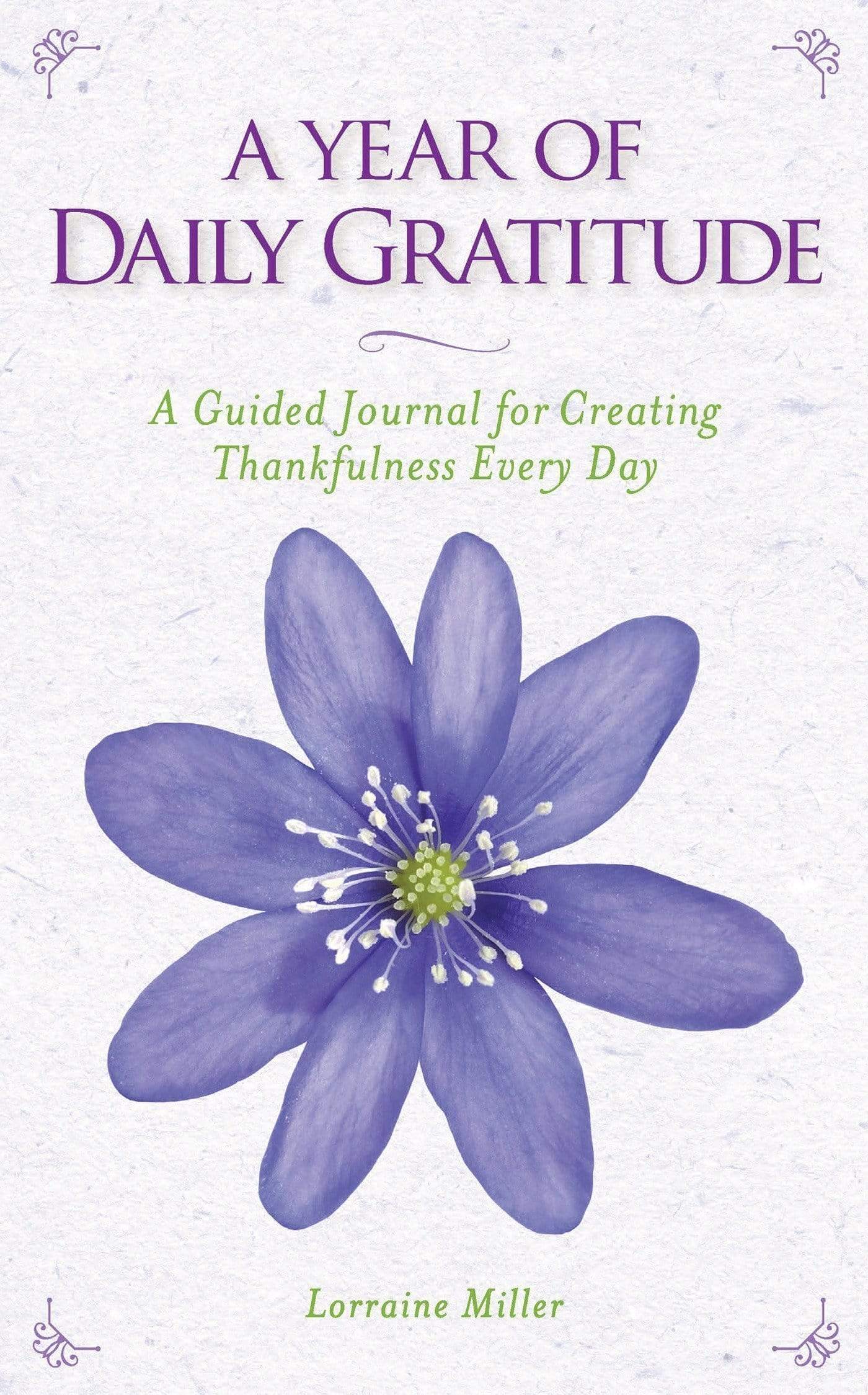 A Year Of Daily Gratitude β BookXcess