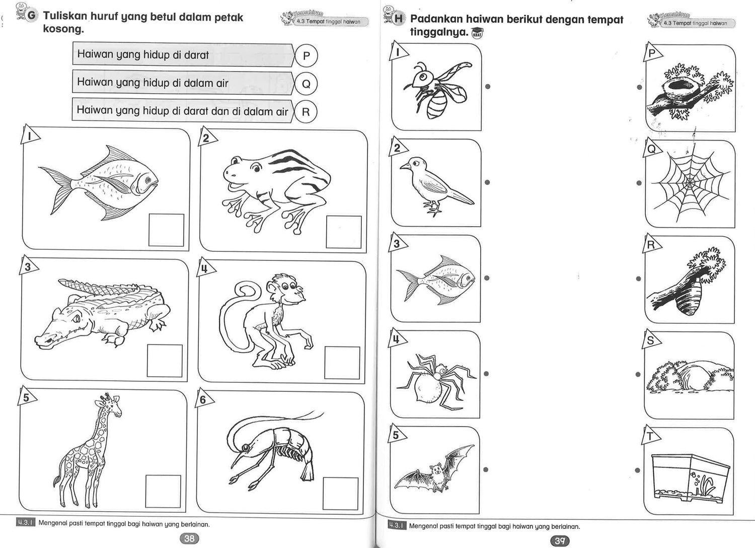 Aktiviti Menuju Tahun 1 - Sains