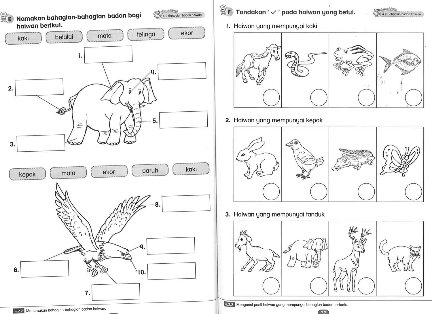 Aktiviti Menuju Tahun 1 - Sains