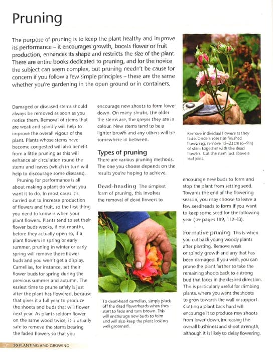 Alan Titchmarsh How To Garden: Container Gardening