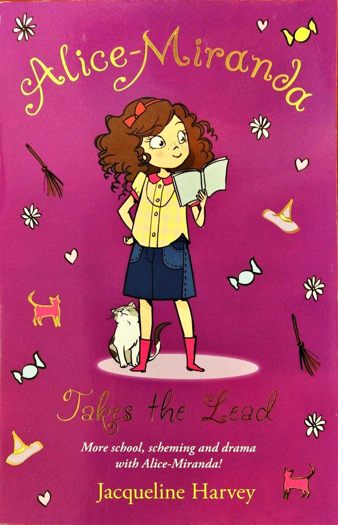 Alice-Miranda Takes The Lead: Book 3