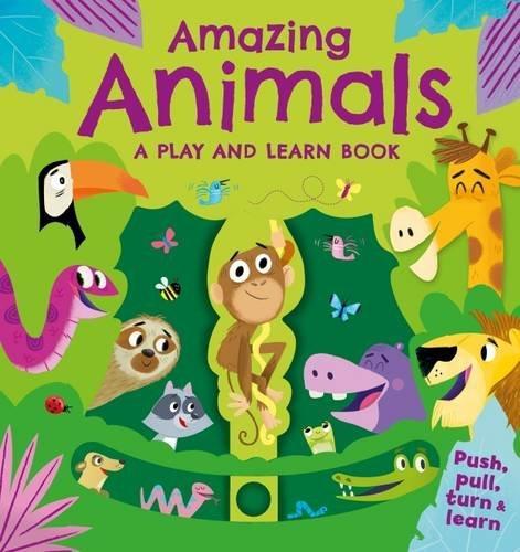 Amazing Animals (A Play and Learn Book)