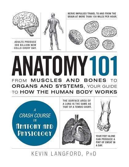 Anatomy 101 (Hb)