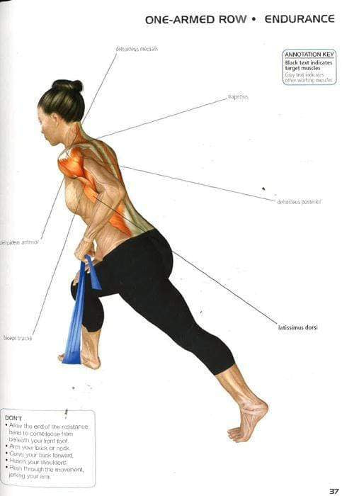 Anatomy Of Exercise 50+