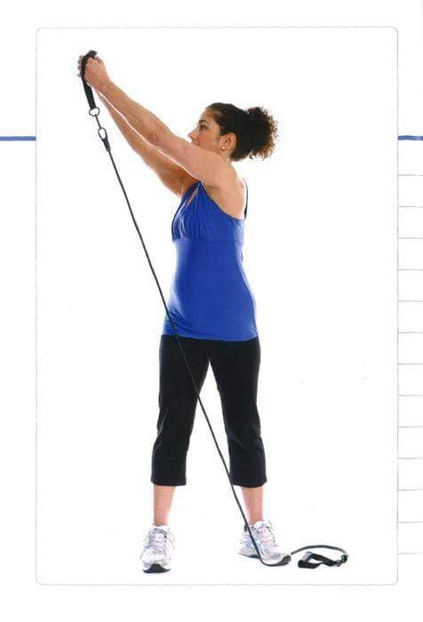 Anatomy Of Exercise 50+