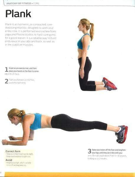 Anatomy Of Fitness: Core