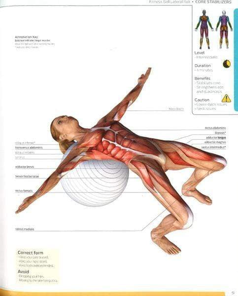 Anatomy Of Fitness: Core
