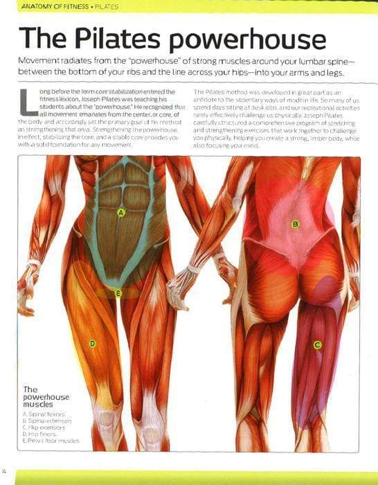 Anatomy Of Fitness: Pilates