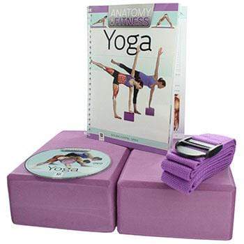 Anatomy Of Fitness Yoga