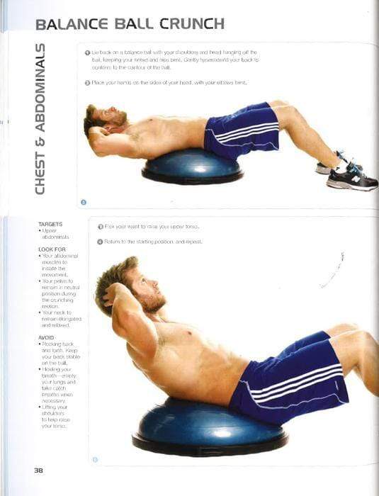 Anatomy Of Muscle Building