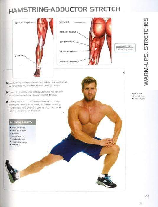 Anatomy Of Muscle Building