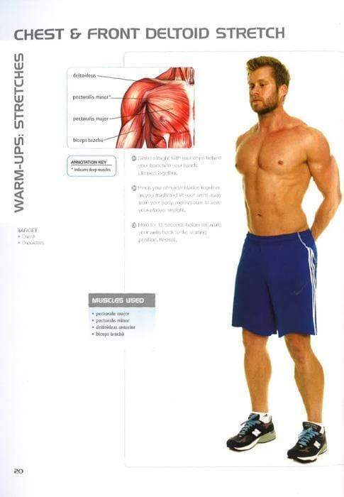 Anatomy Of Muscle Building