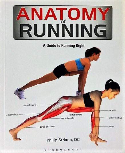 Anatomy of Running: A Guide to Running Right