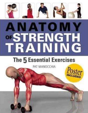 Anatomy of Strength Training