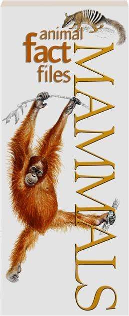 Animal Fact Files: Mammals