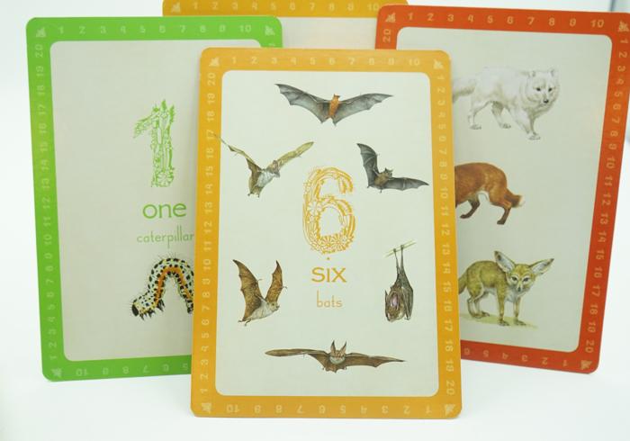 Animal Flash Cards: 123