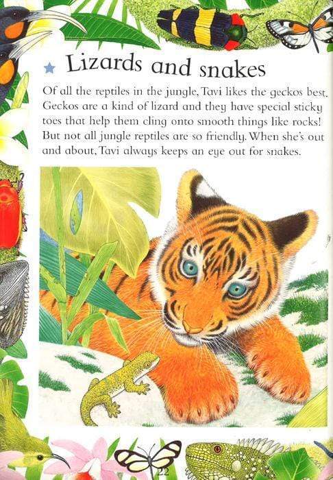 Animal Kingdom Sticker Activity Book: Jungles And Oceans