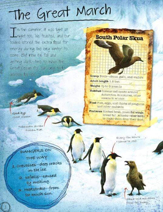 Animal - Penguin Diaries