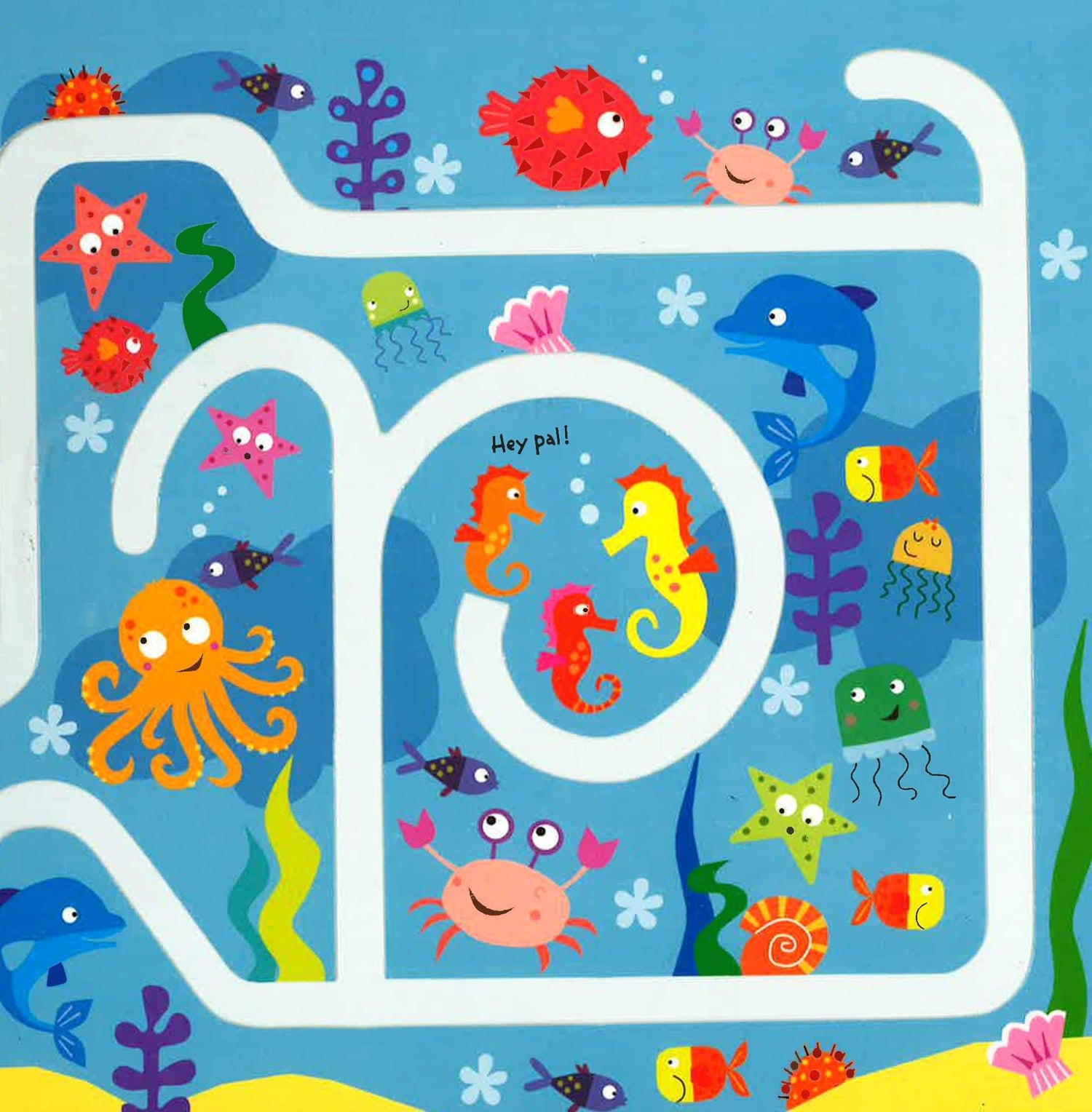 Animal Trace The Track Book