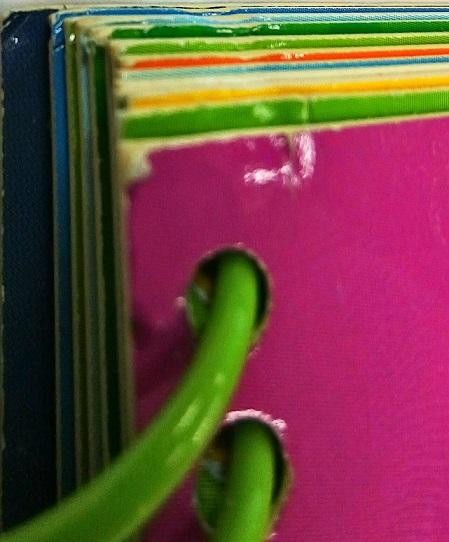 Animals (Write, Wipe and Learn)