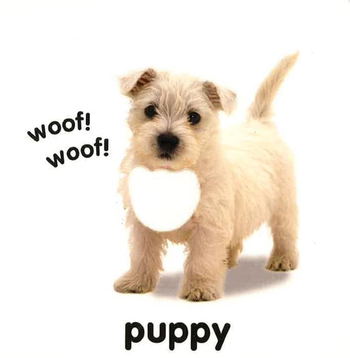 Baby Touch and Feel Animals