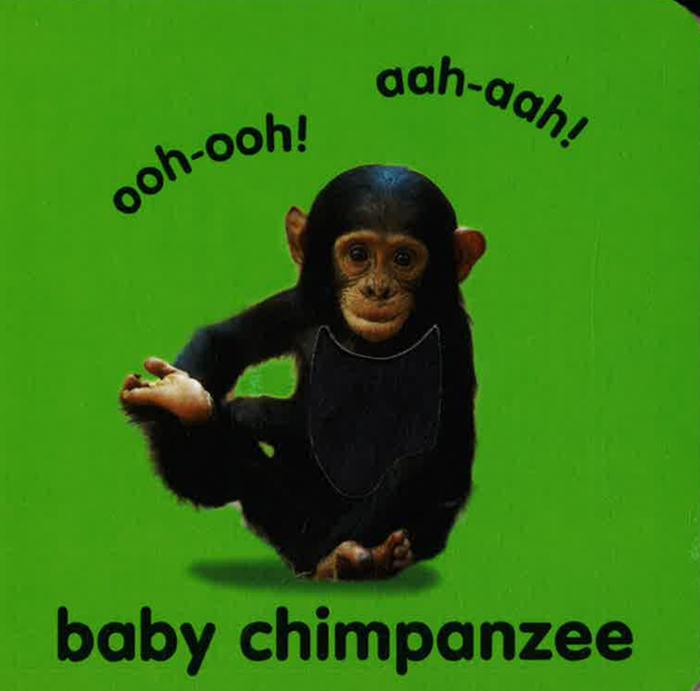 Baby Touch and Feel Animals