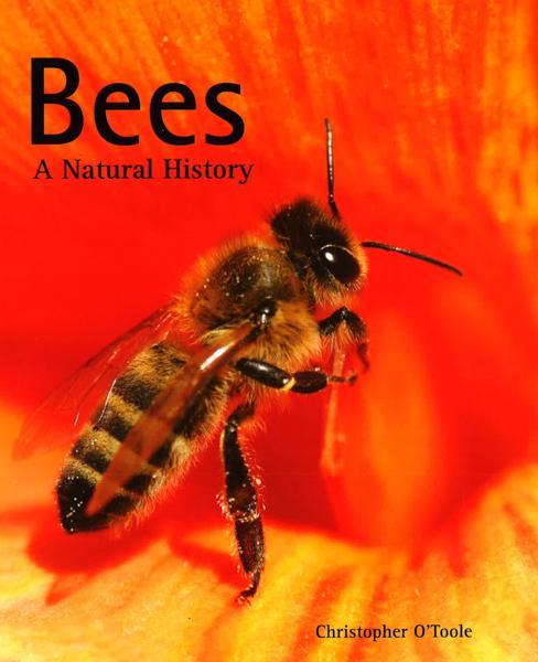Bees: A Natural History