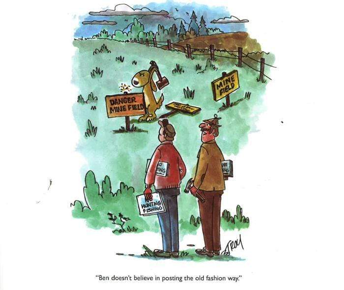 Ben Lives: That Irrepressible Dog Is Back! (Hb)