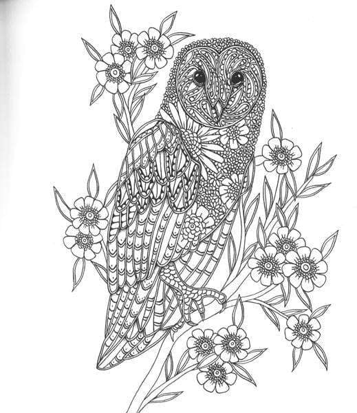 Birds: A Mindful Coloring Book