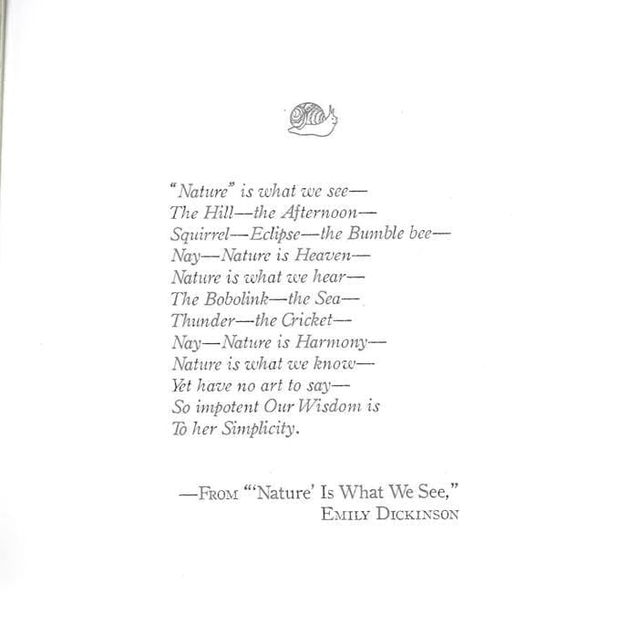 Birds On Bikes: Dozens Of Curious Creatures To Color