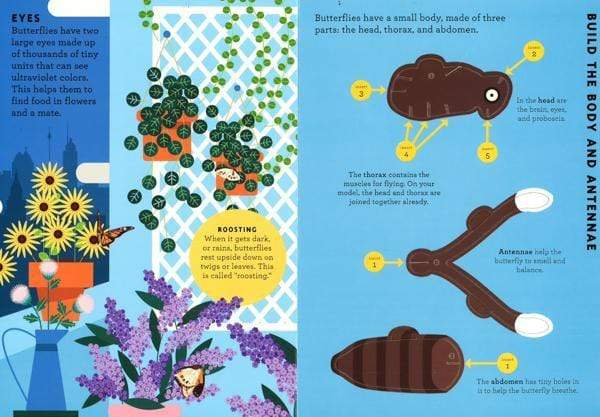 Build A... Butterfly - With A 3D Model To Make