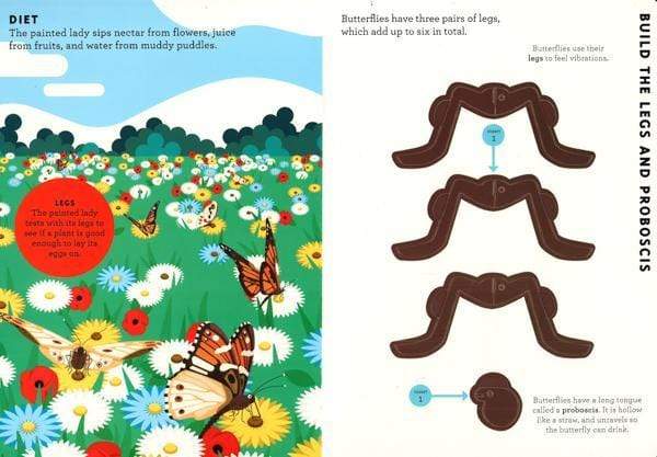 Build A... Butterfly - With A 3D Model To Make